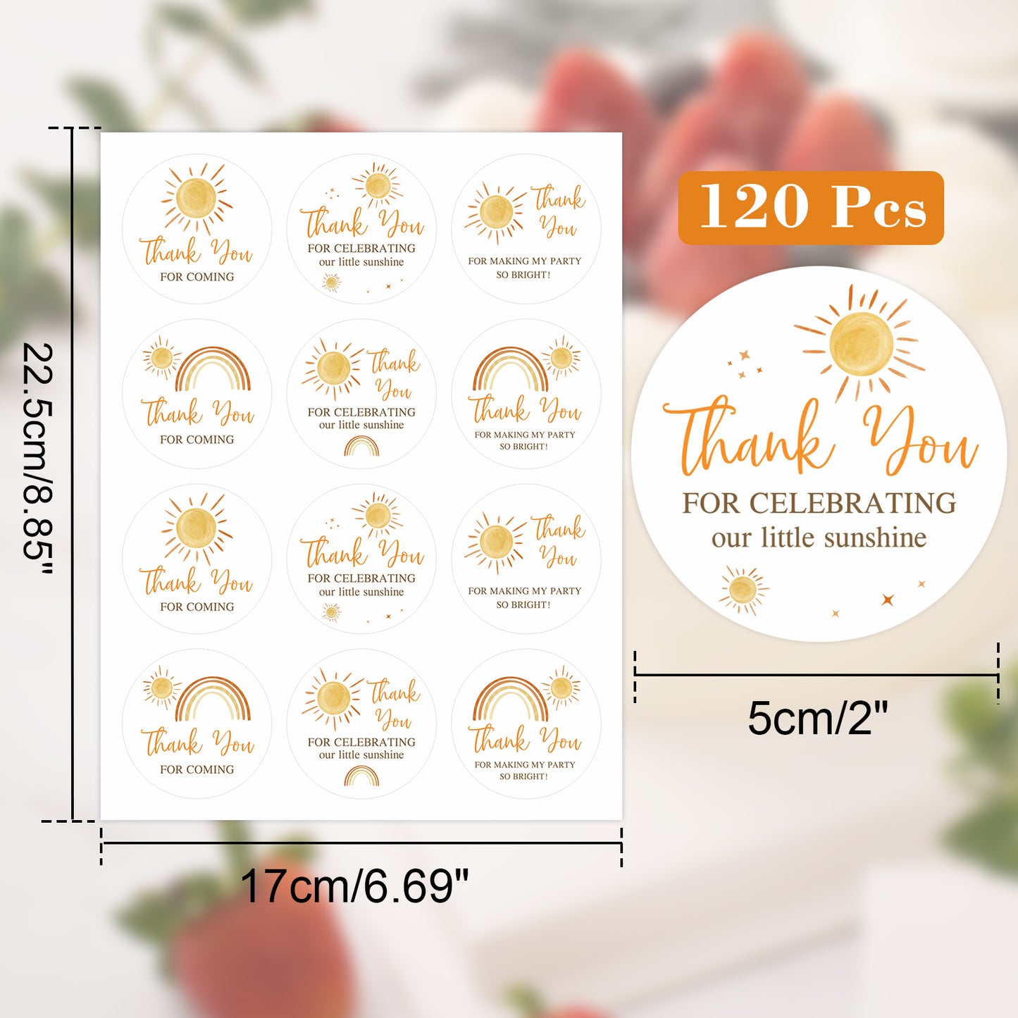 Anwyll Thank You Party Favors Stickers, Boho Sun Thank You Stickers, 120 Pcs 2 Inch First Trip Around The Sun Stickers, Sunshine Appreciation Stickers for Birthday Party, Baby Shower, Wedding Favors